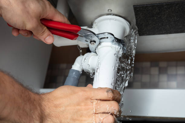 Best Sewage cleanup and water damage restoration  in Raintree Plantation, MO