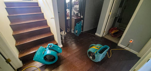 Water damage restoration experts in Raintree Plantation, MO