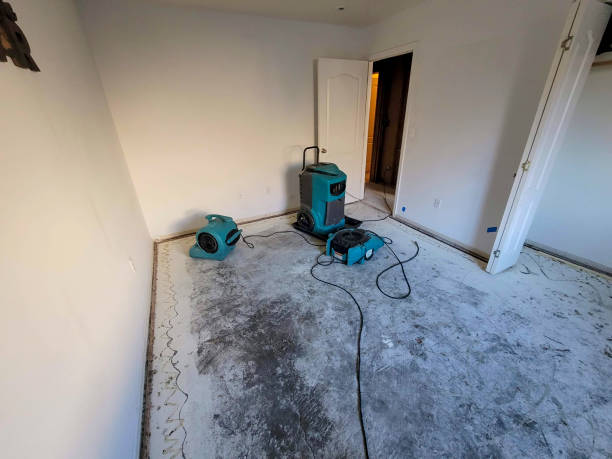 Best Water damage repair service  in Raintree Plantation, MO