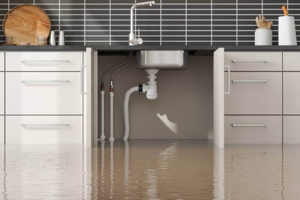Best Water damage restoration cost  in Raintree Plantation, MO