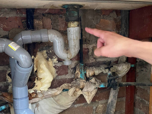 Best Residential water damage restoration  in Raintree Plantation, MO