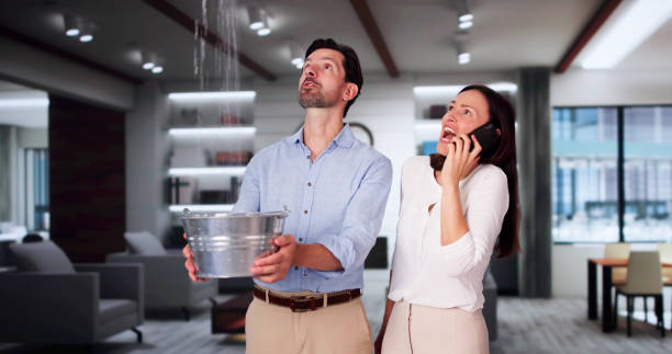 Carpet water damage restoration in Raintree Plantation, MO