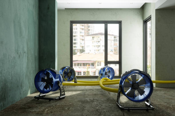 Best 24/7 water damage repair  in Raintree Plantation, MO