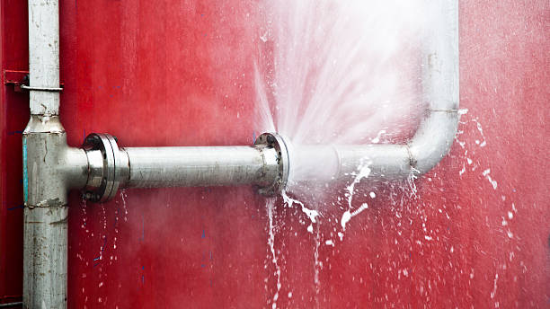  Raintree Plantation, MO Water damage restoration Pros