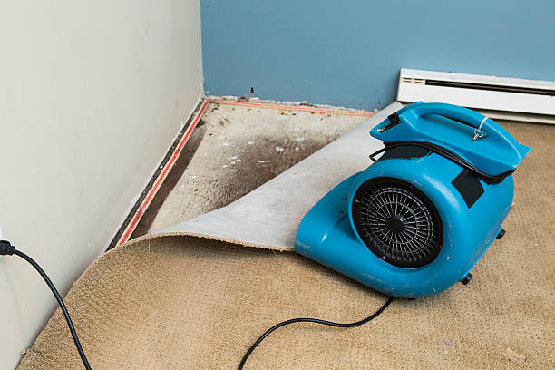 Trusted Raintree Plantation, MO Water damage restoration Experts