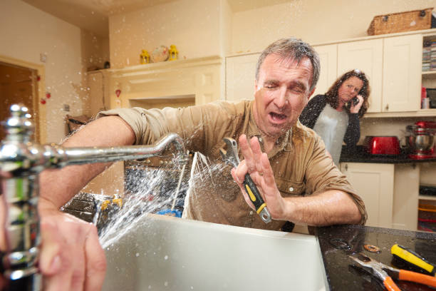 Best Water damage cleanup near me  in Raintree Plantation, MO